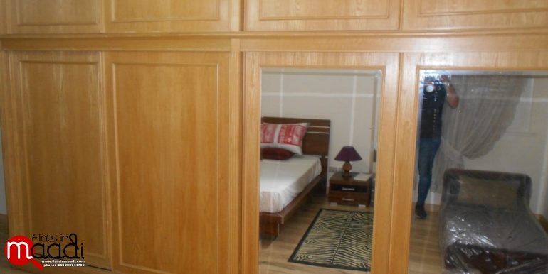 Modern Furnished apartment located in maadi degla for rent (19)