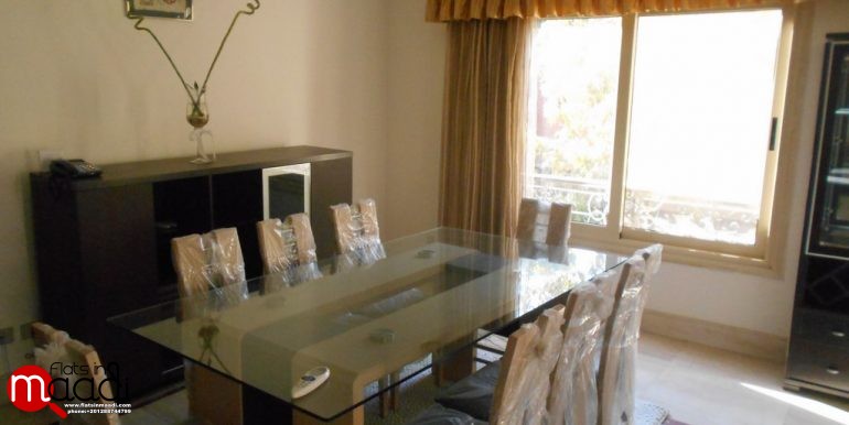 Modern Furnished apartment located in maadi degla for rent (3)