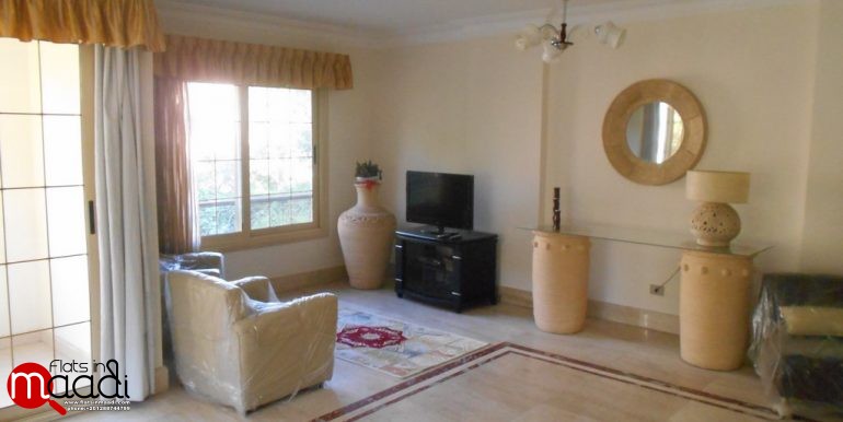 Modern Furnished apartment located in maadi degla for rent (4)