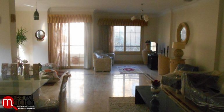 Modern Furnished apartment located in maadi degla for rent (6)