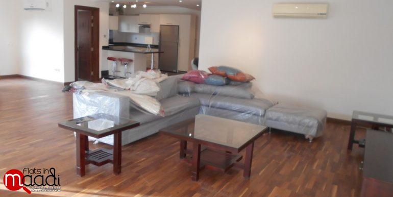 Ultra Modern Apartment For Rent In Maadi Degla (4)