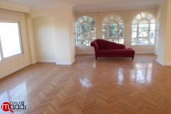 Large/ fancy apt. for rent in maadi