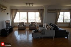 Large and elite apt. for rent in maadi sarayat