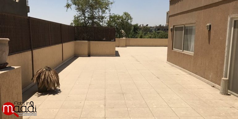 Duplex Penthouse For Rent In Maadi Sarayat (32)