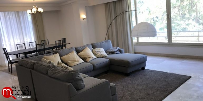 Duplex Penthouse For Rent In Maadi Sarayat (4)