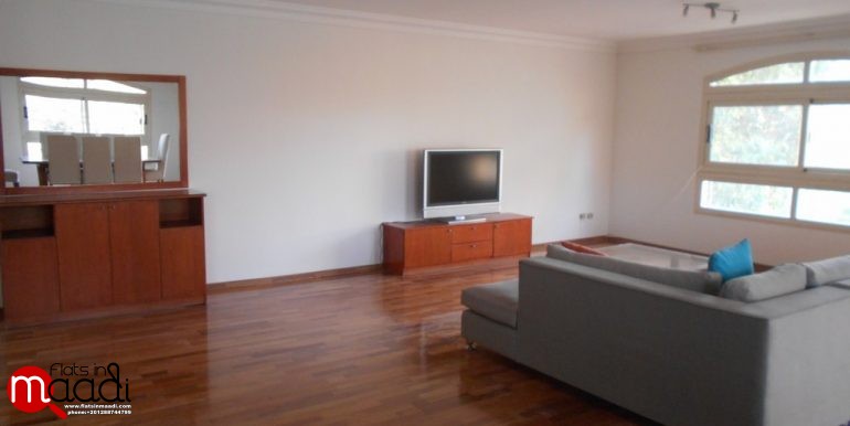 Modern apartment for rent in maadi sarayat (6)