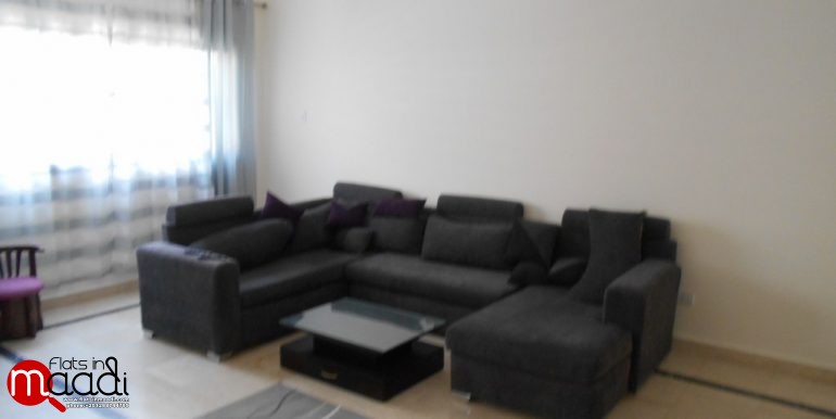 Modern flat for rent in maadi sarayat (4)