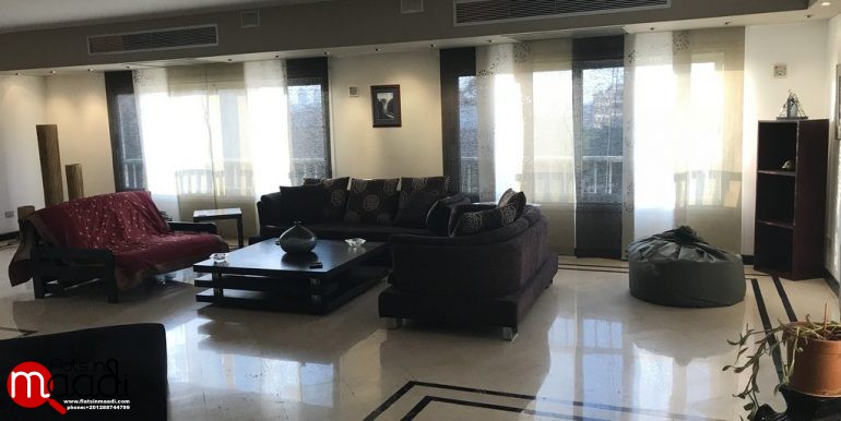 modern penthouse for rent in maadi degla (2)