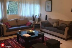 Amazing Furnished apartment for rent in maadi sarayat