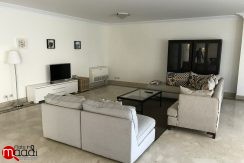 Modern furnished Apartment for Rent in maadi degla