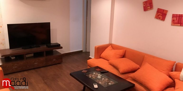 Modern apartment for rent in maadi sarayat (18)