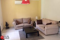 Brighten furnished Ground floor apartment for rent in maadi Degla