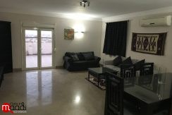 Amazing penthouse for rent in Degla maadi