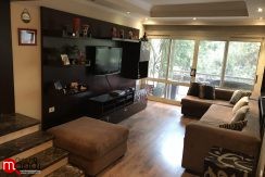 Furnished Apartment for Rent in maadi sarayat