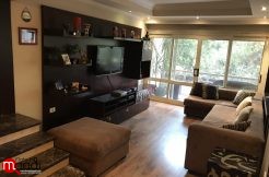 Furnished Apartment for Rent in maadi sarayat