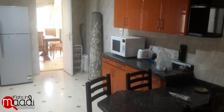 Furnished Apartment For Rent In Maadi Degla (10)