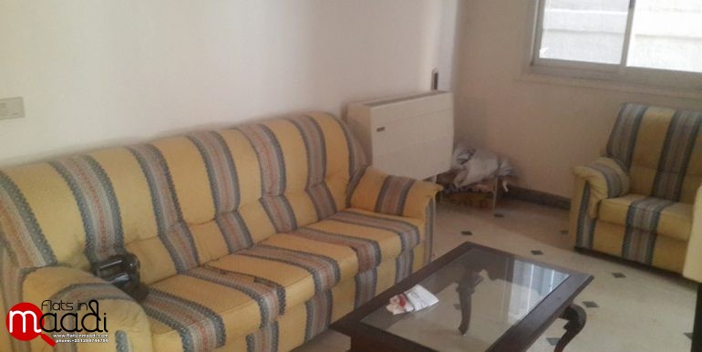 Furnished Apartment For Rent In Maadi Degla (11)