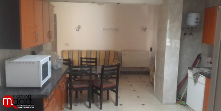 Furnished Apartment For Rent In Maadi Degla (7)