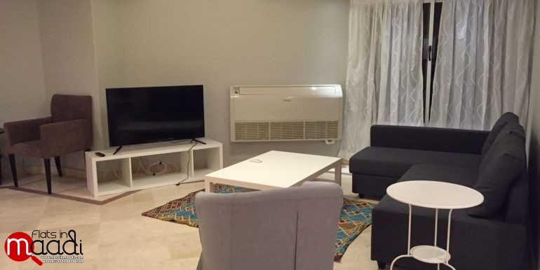 Modern apartment for rent in Maadi Degla (12)