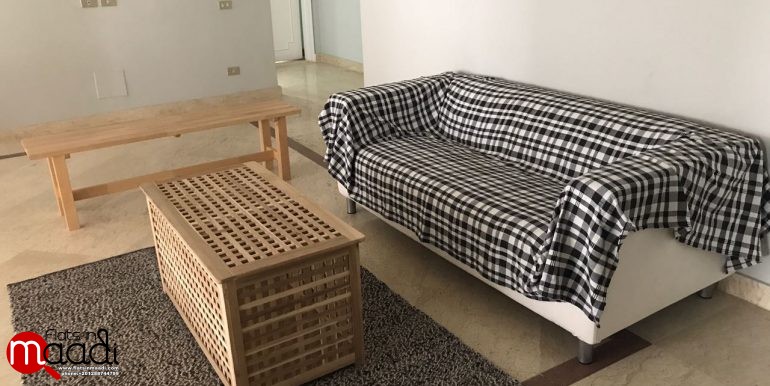 Modern apartment for rent in Maadi Degla (21)