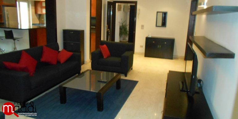 Ultra Modern furnished apartment for rent in Maadi Degla (1)