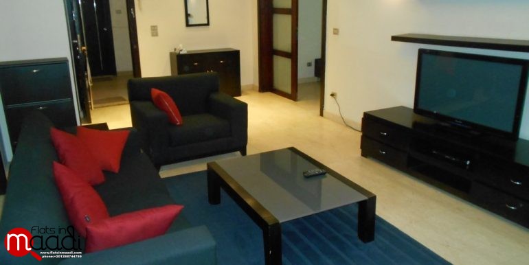 Ultra Modern furnished apartment for rent in Maadi Degla (3)